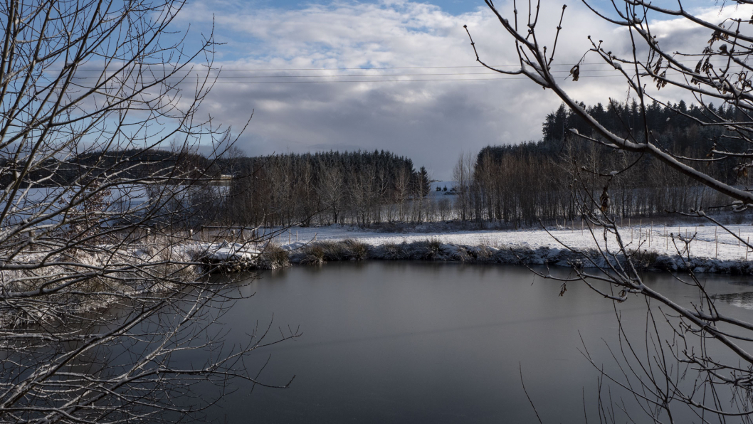 hausteich_winter_2021.jpg